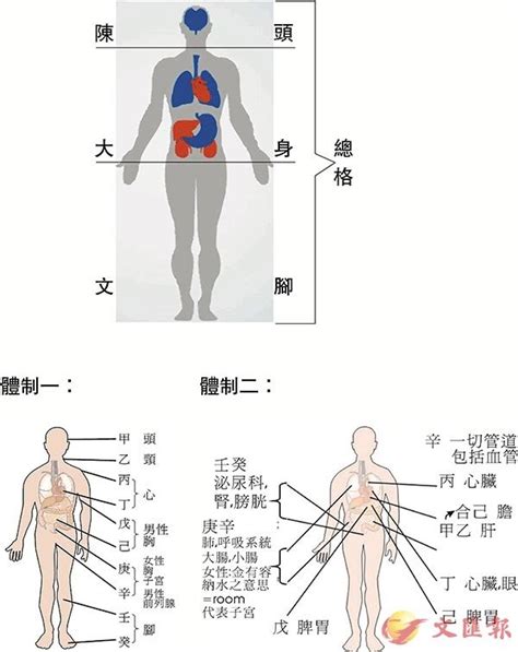 八字 身體部位